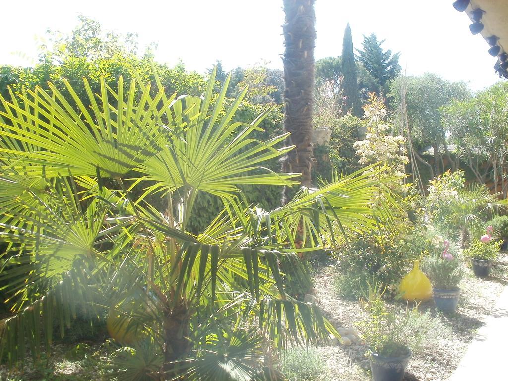 Hotel Du Tricastin Pierrelatte Εξωτερικό φωτογραφία